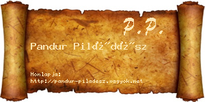 Pandur Piládész névjegykártya